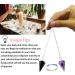 Xiannvxi 3-Piece Crystal Pendulum Set - Amethyst Obsidian & Tiger Eye for Prophecy Reiki & Witchcraft Supplies - Buy Online on GoSupps.com