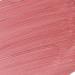 Half Caked Lip Fondant Liquid Lipstick - Vegan & Cruelty-Free | Long-lasting, Transfer-proof, Non-drying Formula | 4ml (QT) - Buy Online on GoSupps.com