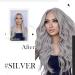 Vivien Grau Clip-In Extensions | 18 Real Remy Hair - Gray Silber 120g 7PCs - Premium Quality Hair Extensions - Buy Online on GoSupps.com