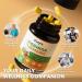 Moringa Capsules 10-in-1 Superfood Supplement Turmeric Curcumin, Bromelain & Black Pepper Supports Mobility & Recovery, Energy, Digestion, Immunity & Skin Vitality Vegan, Non-GMO, Gluten-Free 60 Count (Pack of 1) - Buy Online on GoSupps.com
