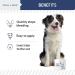 Chew + Heal Labs Styptic Powder for Dogs Cats and Other Animals - 1.5 oz - Quick Stop Bleeding Powder for Clipping Nails and Other Minor Cuts - Blood Stop Powder - Buy Online on GoSupps.com