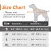 Adjustable No Pull Dog Harness - Padded Front Puppy Vest with Handle - Reflective Breathable Mesh for Outdoor Adventures - Comfort Control - Orange (1 Pack) - Buy Online on GoSupps.com