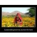 DAANA Mustard Oil for Skin - USDA Organic Extra Virgin Cold Pressed | Best for Healthy Skin - Buy Online on GoSupps.com