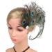 amangul Peacocks Feather Hair Pin Peacocks Feather Hair Clip For Women Side Clip Peacocks Feather Headpiece 1920s Fascinator - Buy Online on GoSupps.com