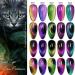 Cat Eye Gel Nail Polish Set With Magnetic Stick-9d Holographic Magnetic Nail Polish-5 Colors Pink Purple Red Green Glitterbels Gel Polish With Black Gel Polish Base Needed-Gel Nail Art Kit - Buy Online on GoSupps.com