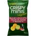 Quaker Crispy Minis Veggie Balsamic & Bruschetta Multigrain Chips 90 Grams Imported from Canada
