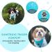 Buy Slowton Dog Harness with Seat Belt Breathable & Secure Car Safety for Dogs - Light Blue Medium - International Shipping Available - Buy Online on GoSupps.com