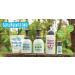Scrubbingtons Pit Stop Childrens Natural First Deodorant Kids Deodorant for Boys and Girls Quick Drying Kids Deodorant Aluminium and Alcohol Free Suitable for Sensitive Skin 4 x 50ml 50 ml (Pack of 4) - Buy Online on GoSupps.com