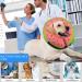 Buy Ducomi Inflatable Dog & Cat Hinges - XL Watermelon | Post-Op Relaxation & Protection | International Shipping Available - Buy Online on GoSupps.com