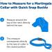 PetSafe Adjustable Martingale Collar L (Neck 13-20) Black - Prevents Slipping, Increases Control for Strong Pullers - Buy Online on GoSupps.com