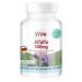 Alfalfa - 90 tablets - 4 -way concentrated Medicago sativa extract - without additives - high dose and vegan |Quality from Germany from Vive Supplements