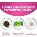 Menopause Relief: DIM Supplement for Hormone Support & Night Sweats Energy - 60 Capsules - Buy Online on GoSupps.com