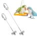 AKlamater Parrot Skewer 2 Pack Stainless Steel Bird Food Holder Fruit Vegetable Holder Foraging Toy Parakeets for Parrots