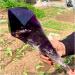 Crystal Hole Natural Amethyst Scepter Specimen 1pc Crystal Hole (Size : 200-300g) - Buy Online on GoSupps.com