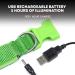 Illumiseen LED Dog Collar USB Rechargeable - Neon Green Large (L) 19-24 - High Visibility Light for Night Walking - Buy Online on GoSupps.com