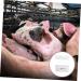 Buy Gatuida 2 Piece Pregnancy Test for Cattle | Vibrating Progesterone Test Paper | Essential Farm Accessories - Buy Online on GoSupps.com