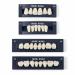 Dental Acrylic Resin Denture False Teeth Set | A2 T6 Synthetic Polymer Resin | Halloween DIY | 28 Pcs - Buy Online on GoSupps.com