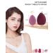 12-Piece Makeup Sponge Set with Holder - Professional Beauty Blender Kit for Flawless Foundation Blending in Cream, Powder, and Liquid Formulas - Buy Online on GoSupps.com