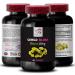 Ginkgo biloba Leaf Extract - Ginkgo BILOBA Extract - Herbal Extract antioxidant Antioxidant-Rich Botanical Ginkgo biloba uses Natural Botanical Support Herbal antioxidant Powder 1 Bottle 60 Caps