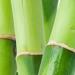 Lucky You Men's Cologne Spray - Day/Night Casual Scent with Bamboo Stem Notes - 3.4 Fl Oz - Buy Online on GoSupps.com