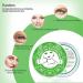 DELISOUL Collagen Under Eye Patches - Seaweed Eye Mask for Dark Circles & Puffiness - Anti Wrinkle Eye Gel Treatment for Puffy Eyes & Under Eye Bags - Improve & Firm Eye Skin - Buy Online on GoSupps.com