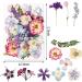 35+pcs Blaflo Purple Flowers & Leaves Kit for Resin Art & DIY Crafts - Buy Online on GoSupps.com