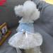 BT Bear XL Clear Dog Dress - Cute Puppy Rock Tutu for Small Dogs & Cats | Princess Lace Wedding Outfit (Hellblau) - Buy Online on GoSupps.com