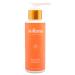 Solluna by Kimberly Snyder Feel Good Cleanser Deep Cleans Soothes & Moisturizes Gentle pH Balanced Anti-Aging Facial Cleanser Natural Oils & Plant Extracts for a Clear & Youthful Complexion