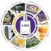 Cologne Spray for Men Louisiana State University 1.7 Ounce - Buy Online on GoSupps.com