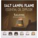 Salking 2-in-1 Aroma Diffuser & Salt Lamp - Flame Effect Essential Oil Diffuser Cool Fog Humidifier 150ml 3 Brightness Settings International Shipping Available - Buy Online on GoSupps.com