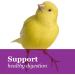 F.M. Brown's Tropical Carnival Gourmet Canary and Finch Food 1.5-lb Bag - Vitamin-Nutrient Fortified Daily Diet with Fruits Veggies Grains Seeds Herbs and Flowers - Buy Online on GoSupps.com