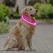 Coolzon LED Light Neck Band Dog Collar - Waterproof & Adjustable - 3 Modes Super Bright for Small to Large Dogs & Cats - Pink - Buy Online on GoSupps.com