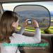 Buy Lewonpo Car Baby Sun Visor - UV Protection & Suction Cups (2 Pack) | Universal Side Window Sun Protection - Buy Online on GoSupps.com