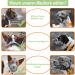 Breathable Mesh Dog Muzzle - Adjustable for Small Medium & Large Dogs | Prevents Biting Chewing & Barking - Gray (M) - Buy Online on GoSupps.com
