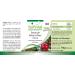 Fairvital Uva Ursi Extract 500mg | High Dose Bearberry Leaf - 20% Arbutin - Vegan - 90 Capsules - International Shipping Available - Buy Online on GoSupps.com