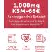 Lunakai USA Made Energy B12 & Ashwagandha Gummies Bundle Daily Energy & Mood Support 60 Non-GMO Gummies Each - Buy Online on GoSupps.com
