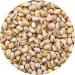 Vivarini Roasted & Salted Pistachios 1kg | Wonderful Deep Flavour | Healthy Snack | Healthy Substitute for Crisps | Additive for Dishes & Desserts | Valuable Source of Nutrients | 1000g - Buy Online on GoSupps.com