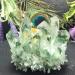 Natural Crystal Rough Natural Crystal Rough Natural Green Ghost Phantom Quartz Crystal Cluster Rock Stones and Crystals ReikiSpecimen Home DecoStone (Color : 800-850g) - Buy Online on GoSupps.com