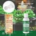 Gel Food Coloring - 80ml Green Gel Based Food Dye Vibrant Tasteless Concentrated Food Coloring for Cake Cookie Decorating Easter Egg Icing Fondant Baking Macaron - 2.71 Fl.Oz Bottles (Christmas) - Buy Online on GoSupps.com