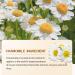 16 30ml S rum pour le visage Calendula Anti-rides Anti- ge et Hydratant Tous Types de Peaux S rum claircissant pour les Taches brunes les Ridules et les hydrate et Raffermit la peau  - Buy Online on GoSupps.com