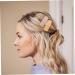 FOMIYES 5 Pairs Hairpin Girls Barrettes for Hair Toddler Hair Clip Hair Decorations Hair Accessories for Women Barrettes for Women Small Hair Clips Hair Pin Clips for Thick Hair Miss Lace - Buy Online on GoSupps.com
