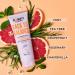Noughty Back To Balance Oil Control Shampoo - 97% Natural Hydrating Formula for Oily Roots - Vitamin B5 - 250ml - Buy Online on GoSupps.com