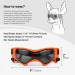 UV Protection Sunglasses for Small Dogs | Windproof Anti-Fog Pet Glasses - Soft Frame in Orange - Buy Online on GoSupps.com