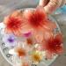 WDNIGLP Flower Hair Barrettes Hair Accessory Unique Hair Barrettes Large Flower Acrylic Hair Clip Sweet Hairpins Hair Claw 1# - Buy Online on GoSupps.com
