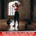Predator Labs - Minotaur Beef Protein 2kg -23g of protein Hydrolysed Beef Collagen Protein 133 Servings Lactose free Gluten free help to recovery and joint support. Chocolate - Buy Online on GoSupps.com