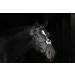 Cancun Black Pony - Stylish and Versatile International Shipping Available - Buy Online on GoSupps.com