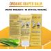 BELLA B Honey Bum Diaper Rash Butter | Organic Baby Diaper Cream | Natural Rash Relief for Babies - 2 oz - Buy Online on GoSupps.com