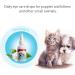 Tear Stain Remover Eye Drops for Dogs and Cats Pet Eye Care Protection Eliminate Eye Dirt Anti-inflammatory Bactericidal Antipruritic Mild Formula - Buy Online on GoSupps.com