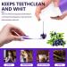 Purple Teeth Whitening Toothpaste - Deep Stain Removal Brightening & Bleaching for White Teeth | 30 ml Pack - Buy Online on GoSupps.com