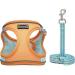 Doramio Dog Harness for Small Dogs | Reflective & Breathable Safety Gear with Leash - Ideal for Small Dogs & Cats (XL Orange/Blue) - Buy Online on GoSupps.com